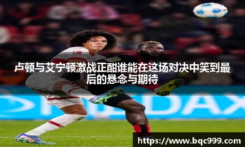 非凡国际平台